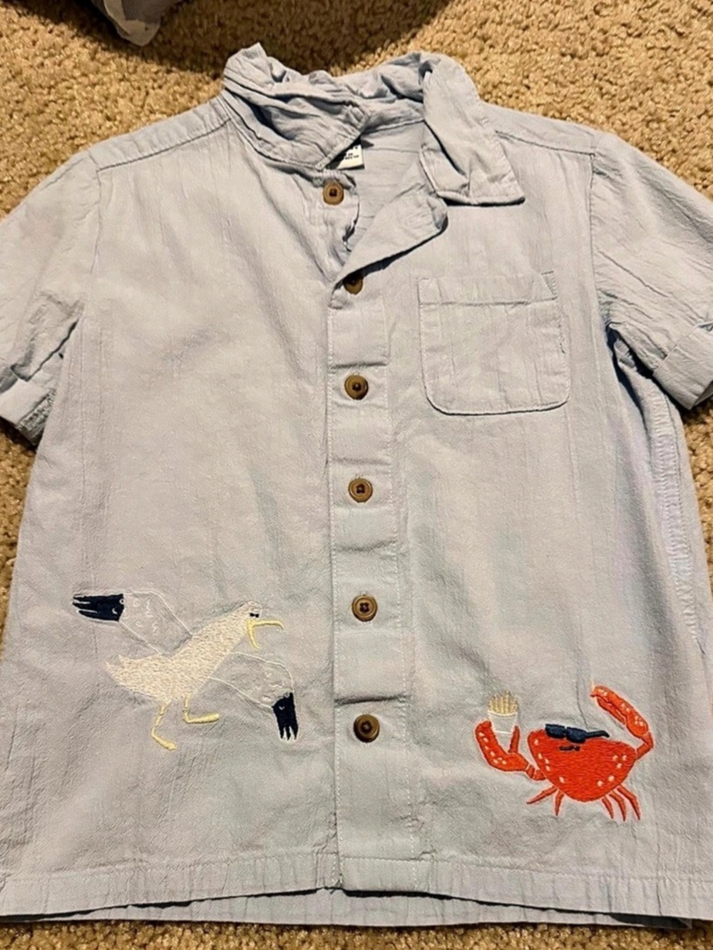 Old Navy Boys Size 5T Blue Embroidered Shirt